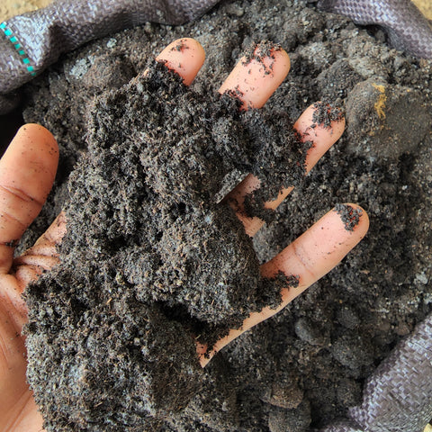 Weed-Free Manure (Compost)